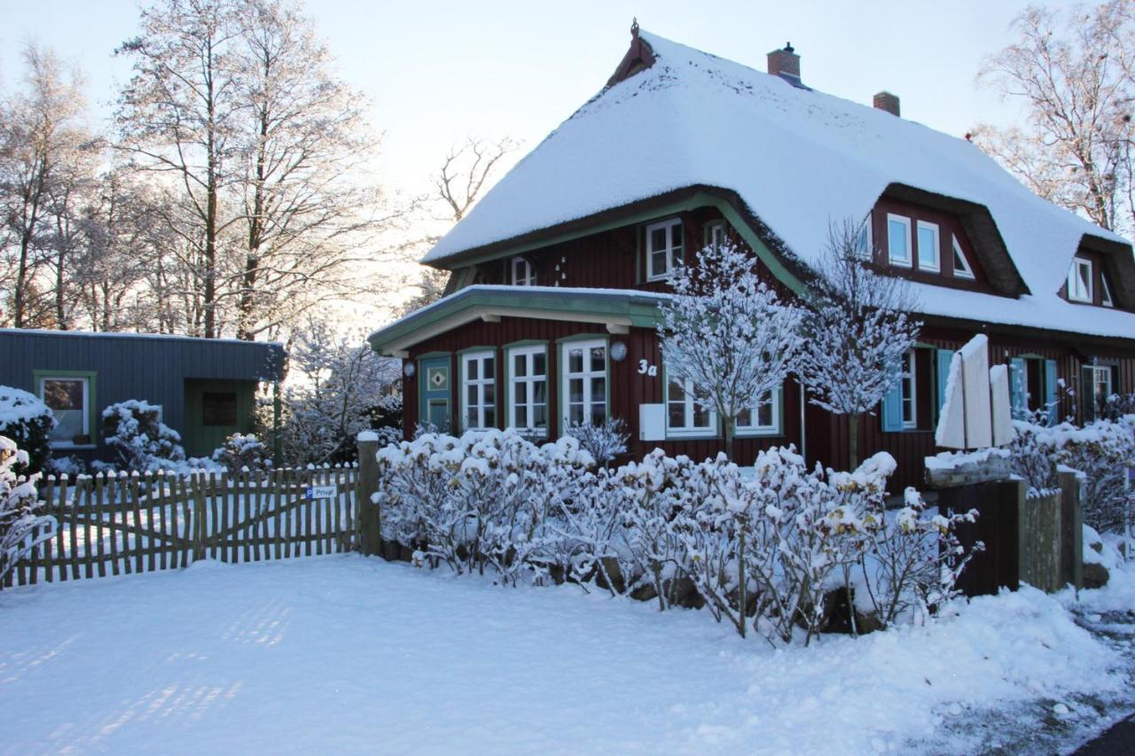 Krabbenkate Villa Prerow Bagian luar foto